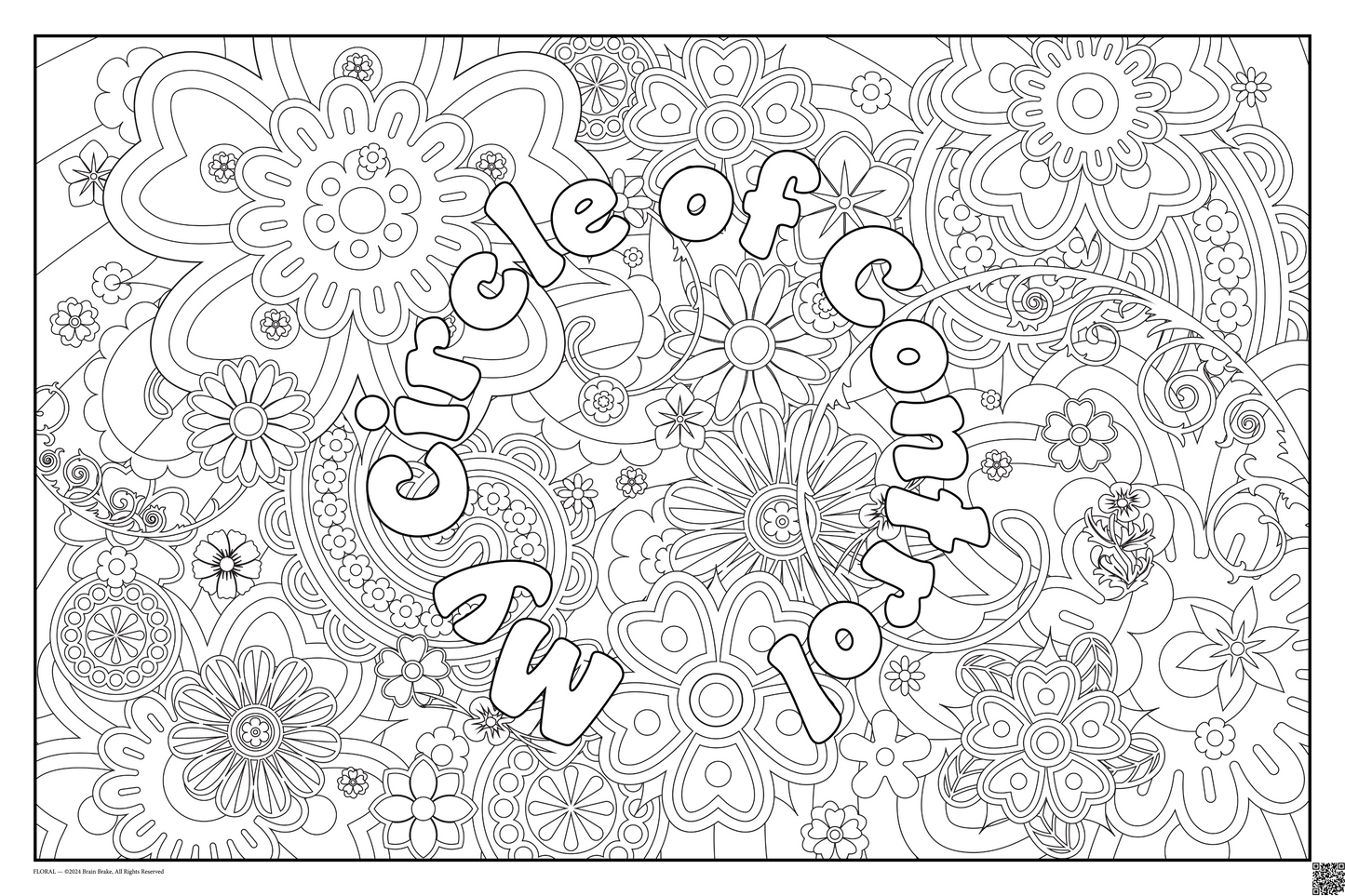 My Circle of Control: coloring poster available in several themes and 3 sizes up to 46"x60"